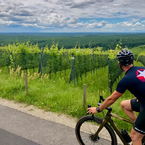 aktivitaeten weinstrasse guntramsdorf radfahren pension
