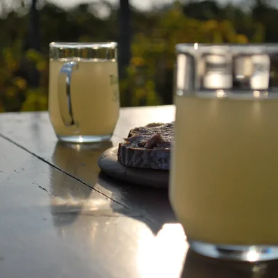 Pension Pia Guntramsdorf Weinstrasse Thermenregion Heurigenbesuch