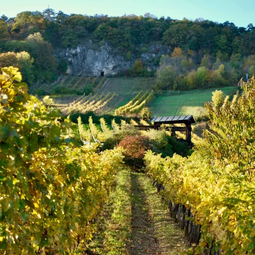 unterkunft pension anninger moedling