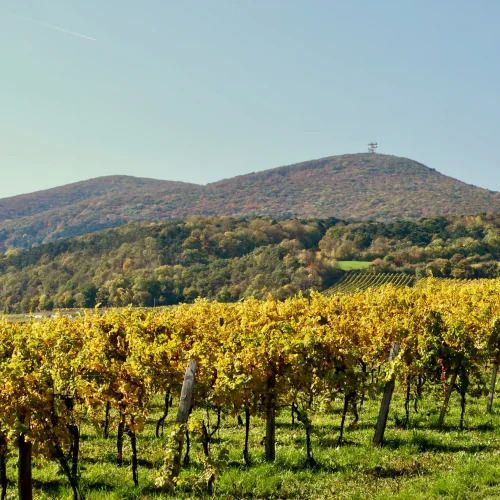 wander thermenregion baden bei wien