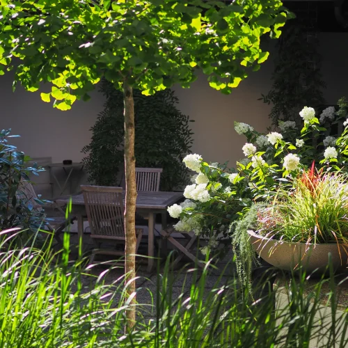 Sonniger Innenhof mit kleinem Baum, Hortensien, Tisch und Stühlen.